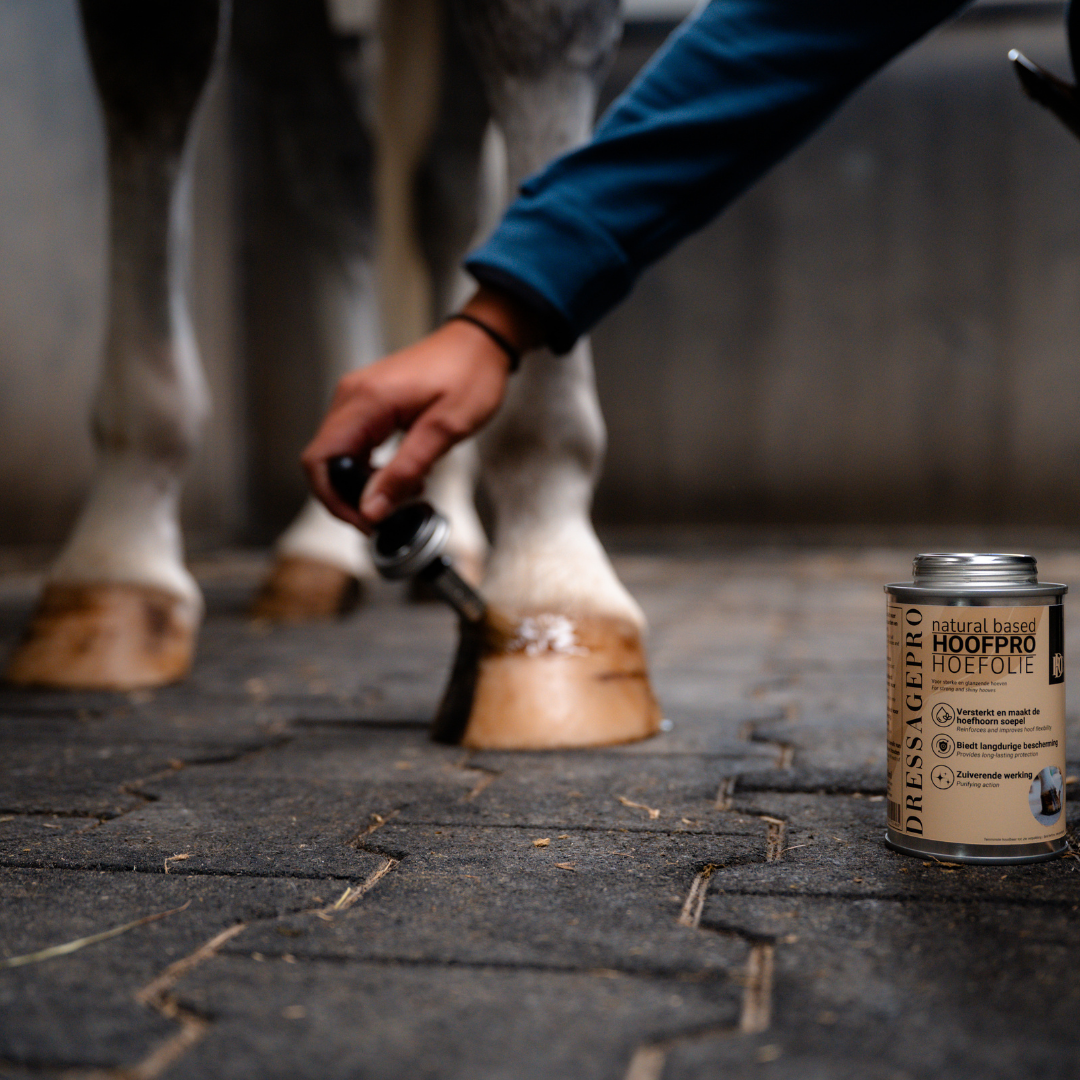 DressagePro Collection