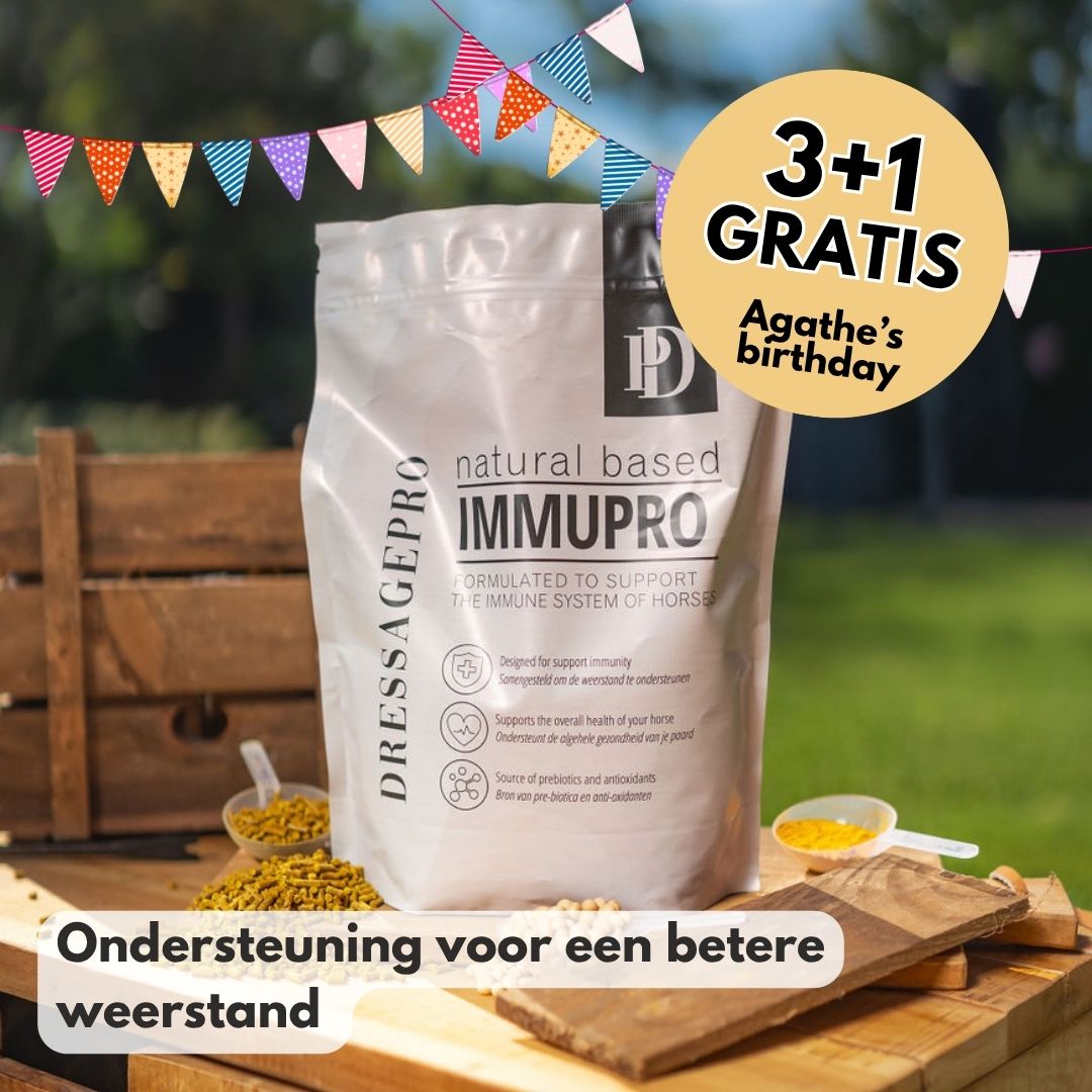 ImmuPro | Boost je paard’s weerstand van binnenuit