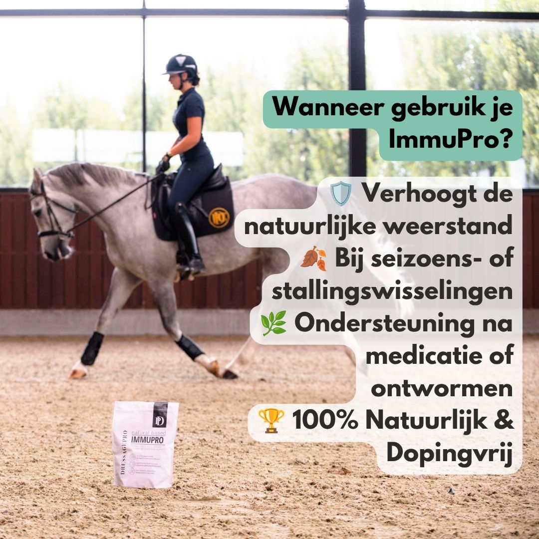 ImmuPro | Boost je paard’s weerstand van binnenuit