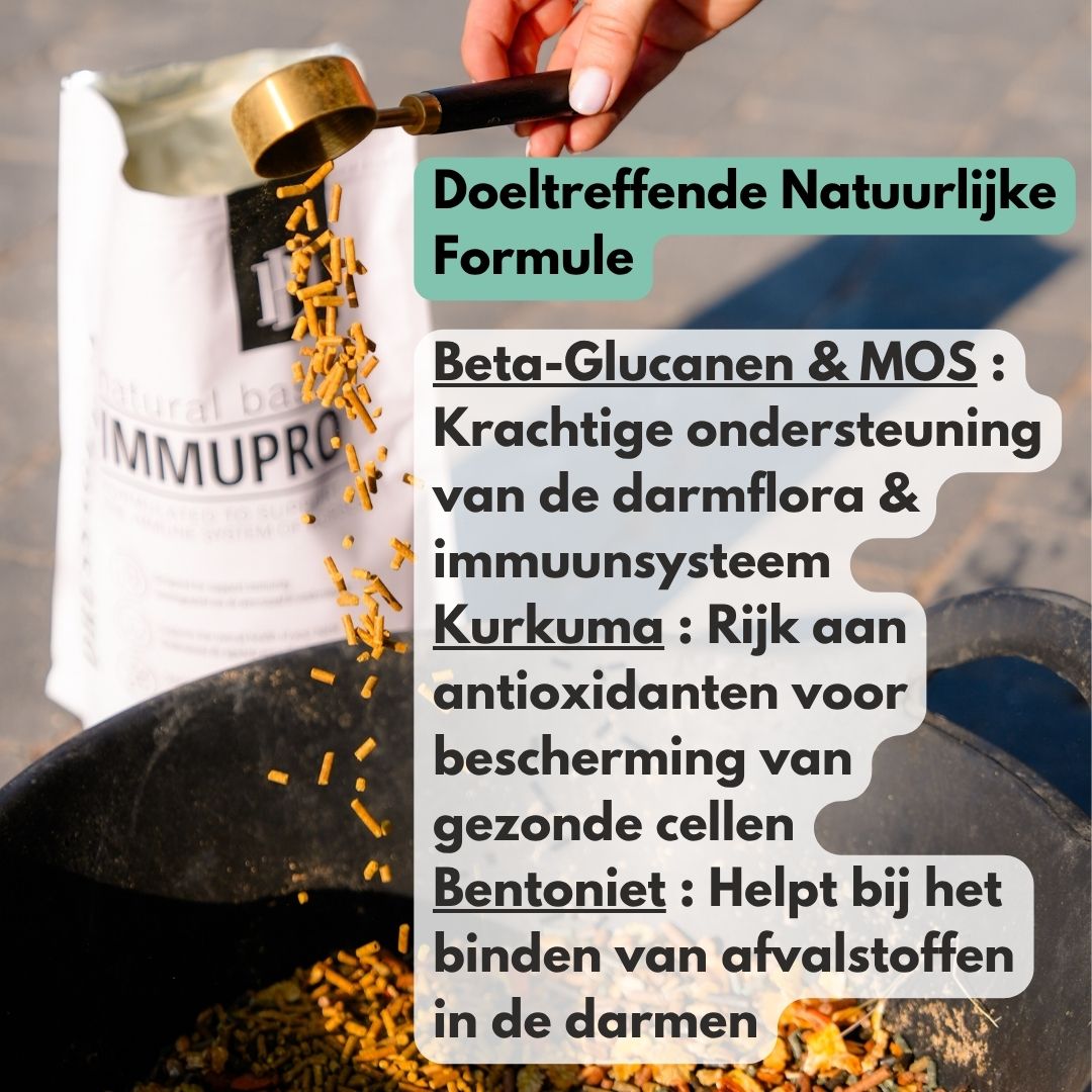 ImmuPro | Boost je paard’s weerstand van binnenuit