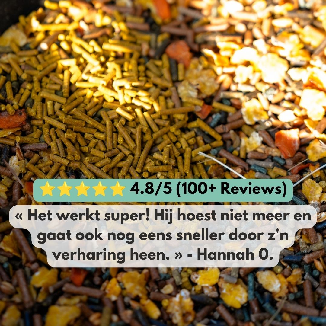 
                  
                    ImmuPro | Boost je paard’s weerstand van binnenuit
                  
                