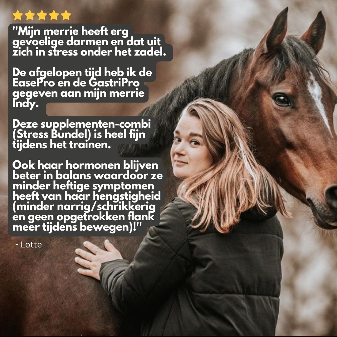 *NEW* Stress Bundle: EasePro + GastriPro