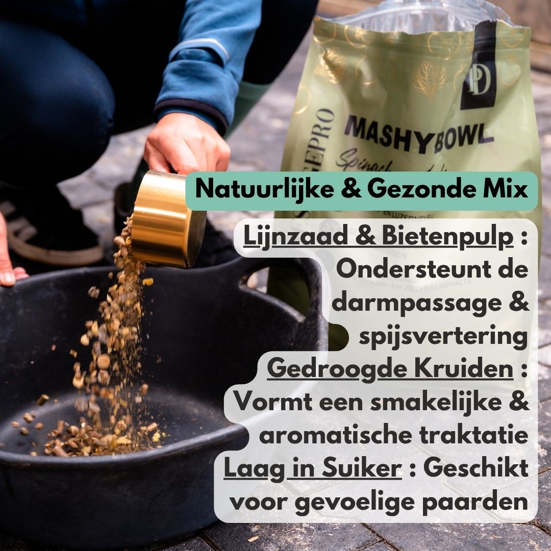 MashyBowl - Appel / Spinazie
