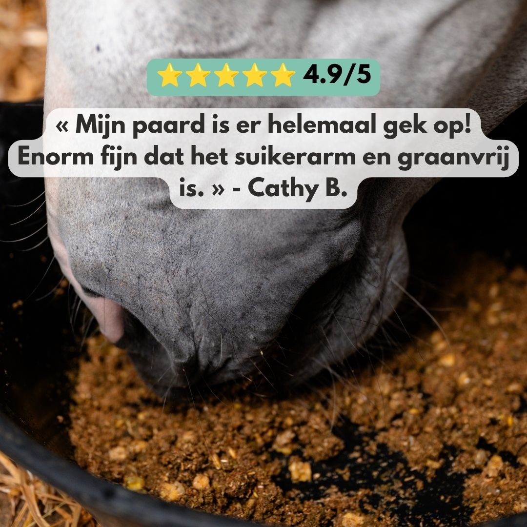 
                  
                    MashyBowl - Appel / Spinazie
                  
                