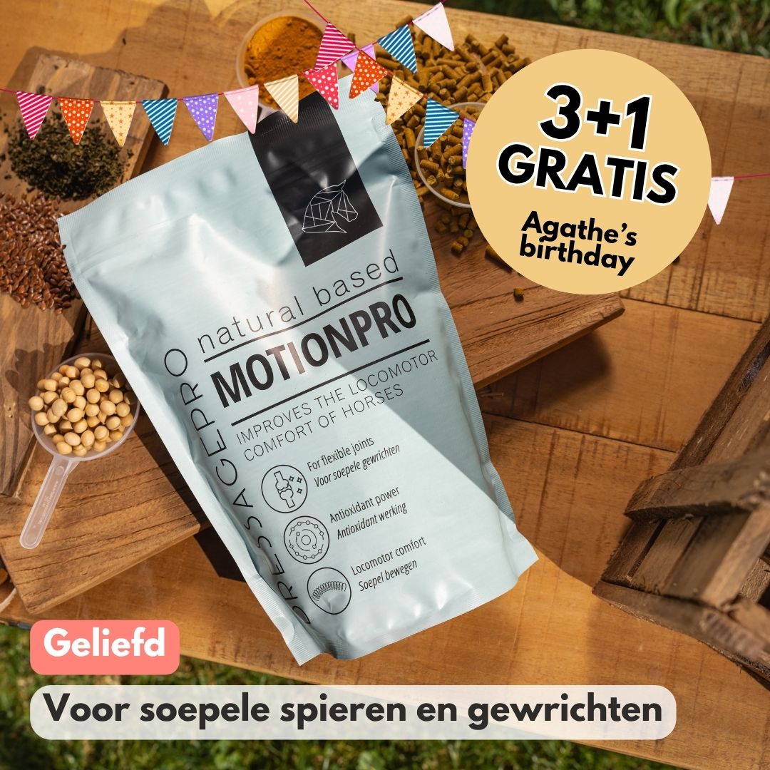 
                  
                    MotionPro | Voor soepele beweging en gezonde gewrichten
                  
                