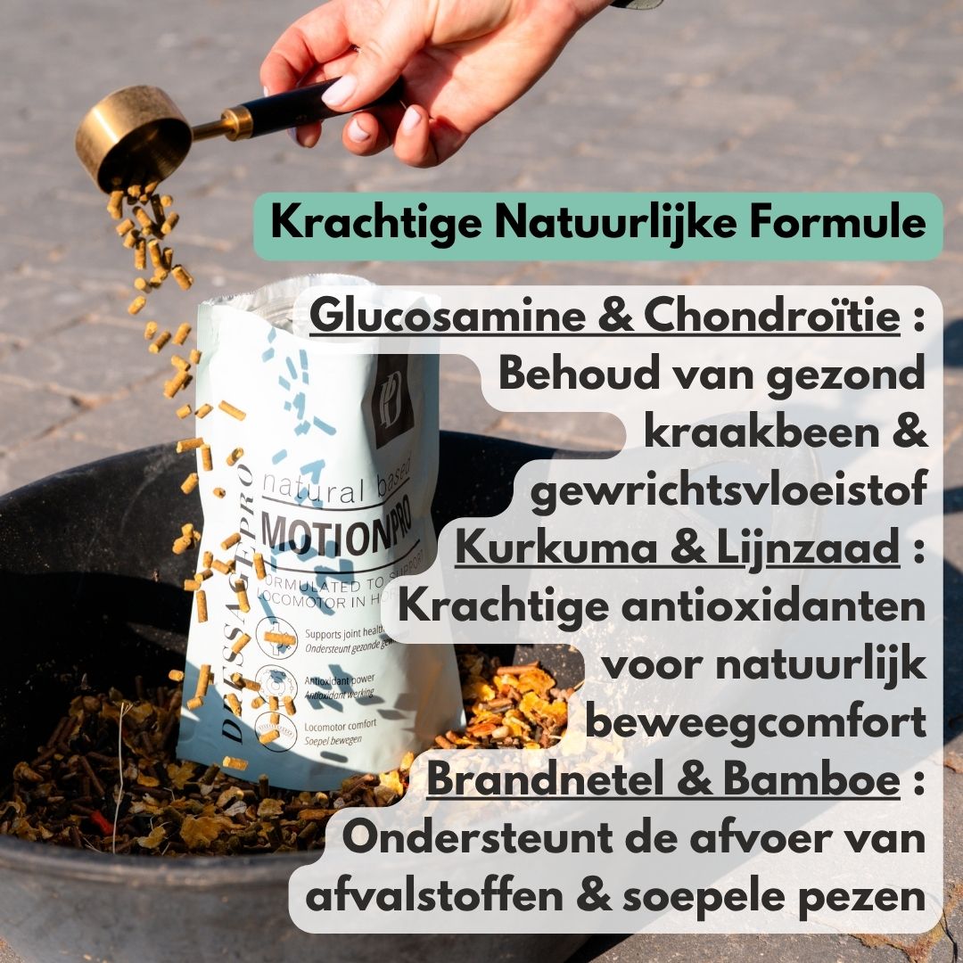 
                  
                    MotionPro | Voor soepele beweging en gezonde gewrichten
                  
                