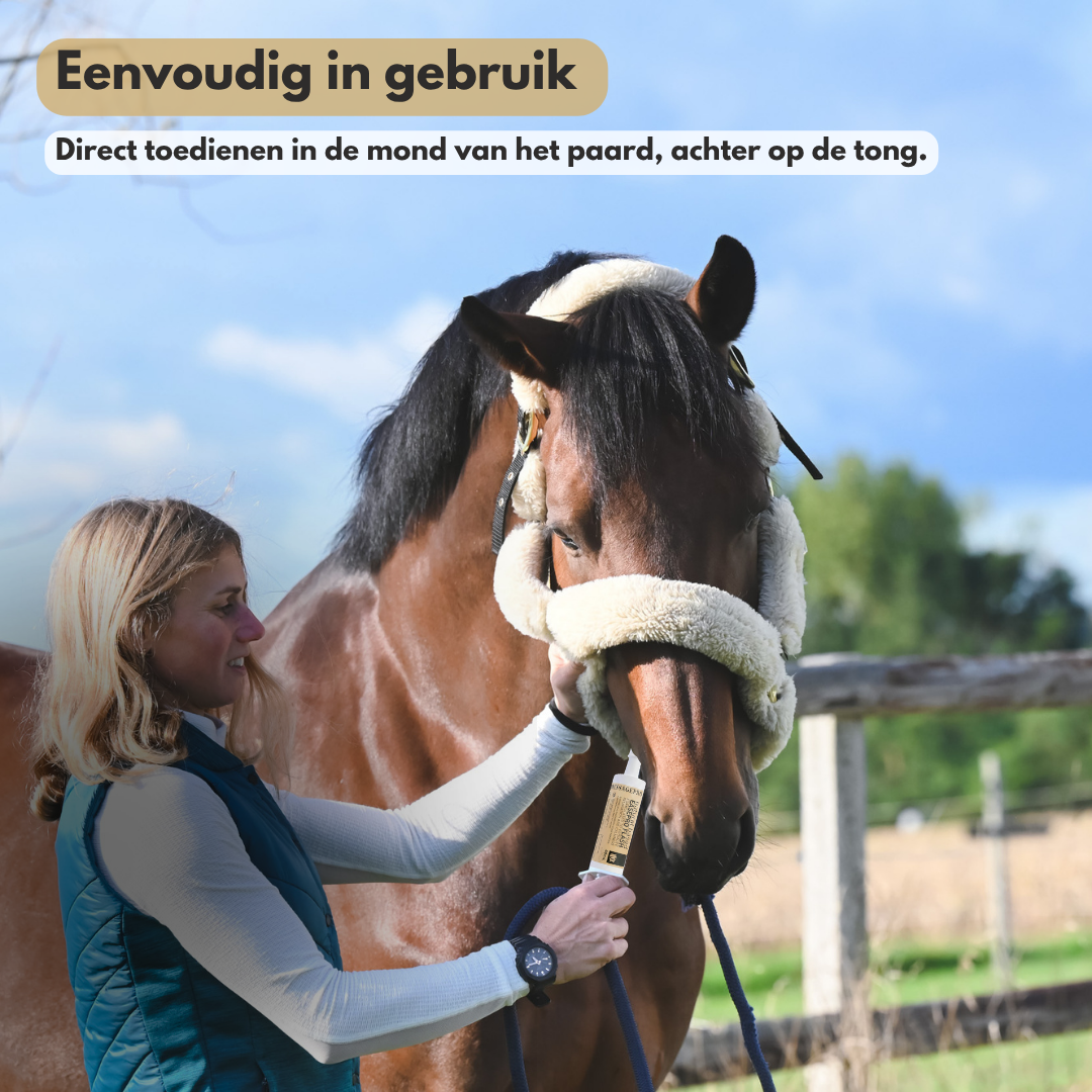 
                  
                    NIEUW!!! EasePro FLASH – Set van 3 spuiten
                  
                