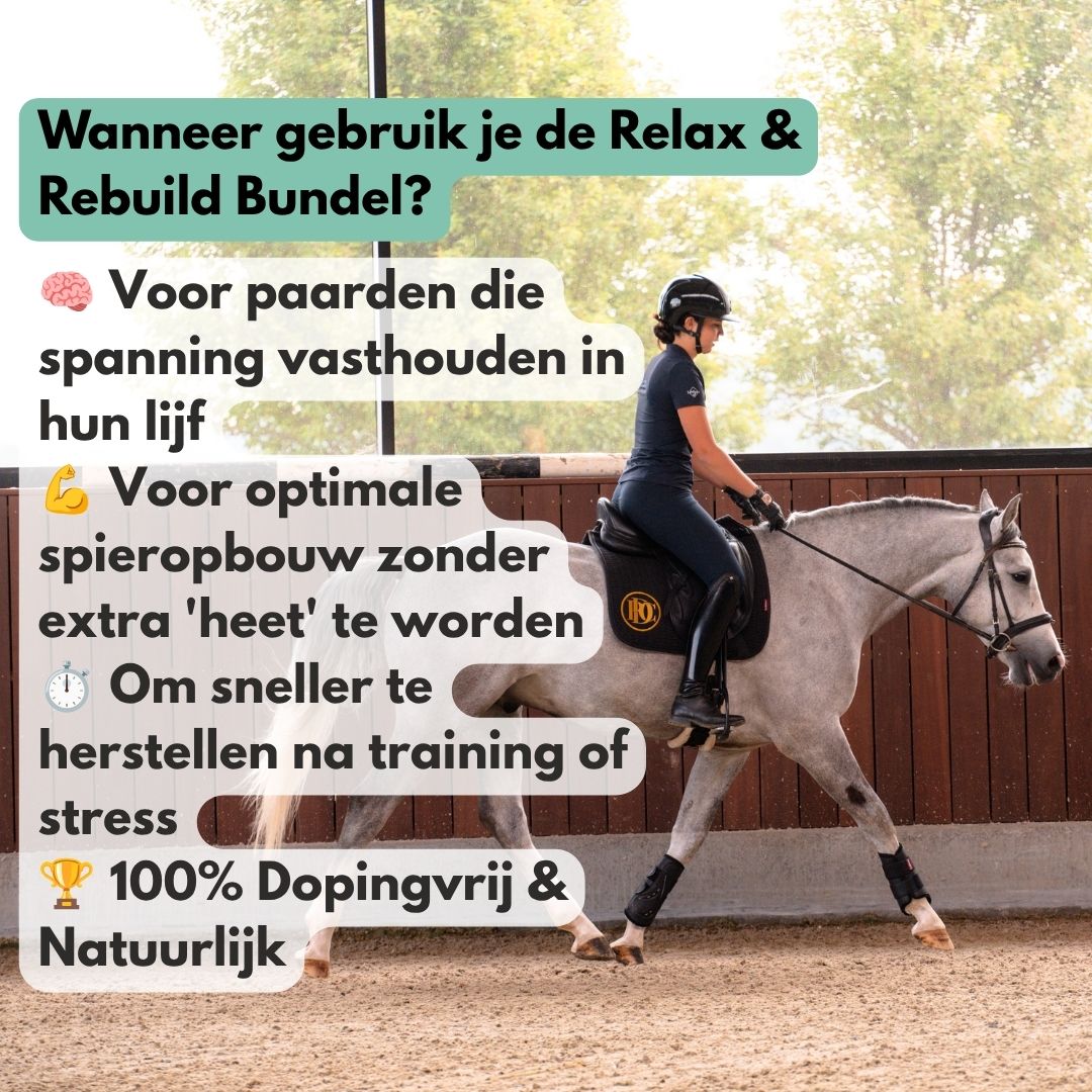 Relax & Rebuild Bundel: EasePro + ActivePro