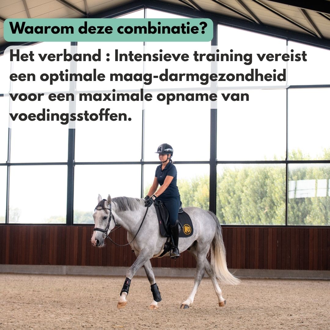 
                  
                    Spier & Spijs Bundel: GastriPro + ActivePro
                  
                