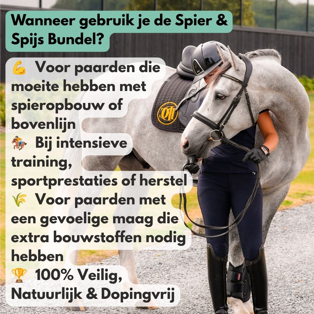 
                  
                    Spier & Spijs Bundel: GastriPro + ActivePro
                  
                