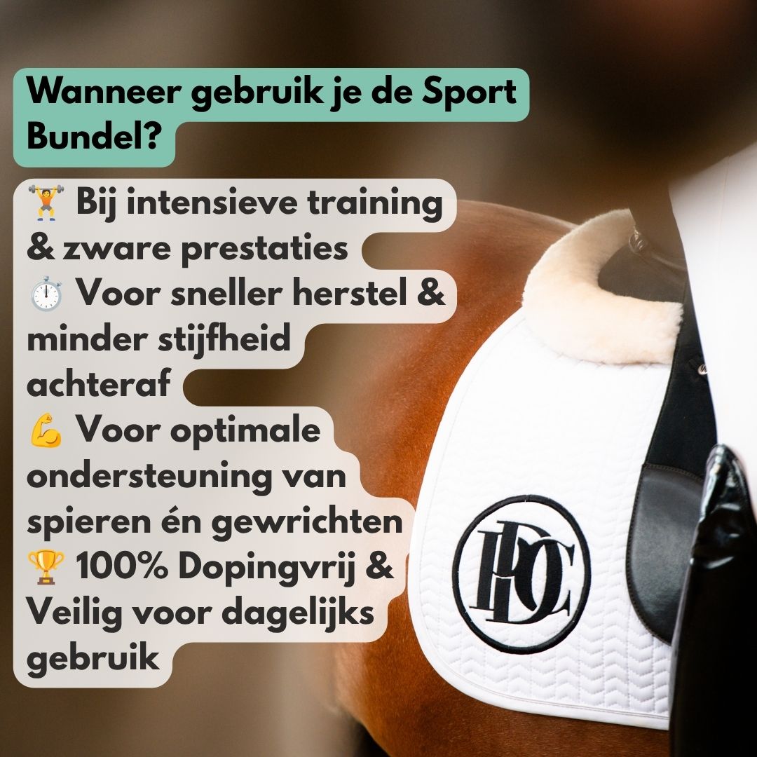 
                  
                    Sport Bundel: MotionPro + ActivePro
                  
                