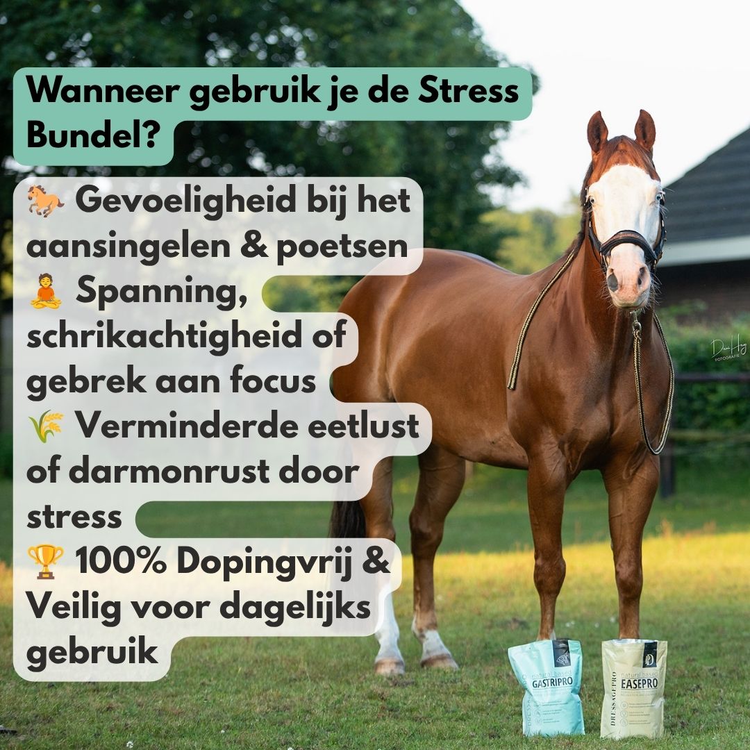 Stress Bundel: EasePro + GastriPro