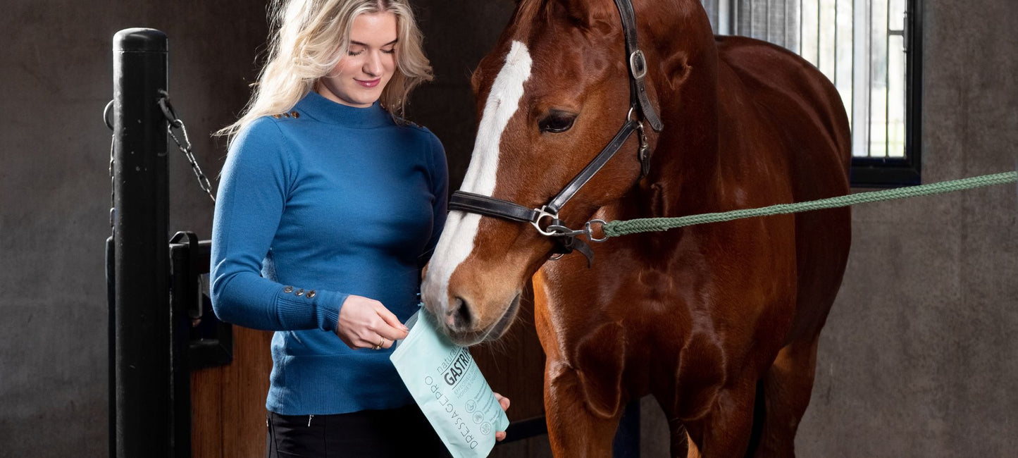 DressagePro Collection