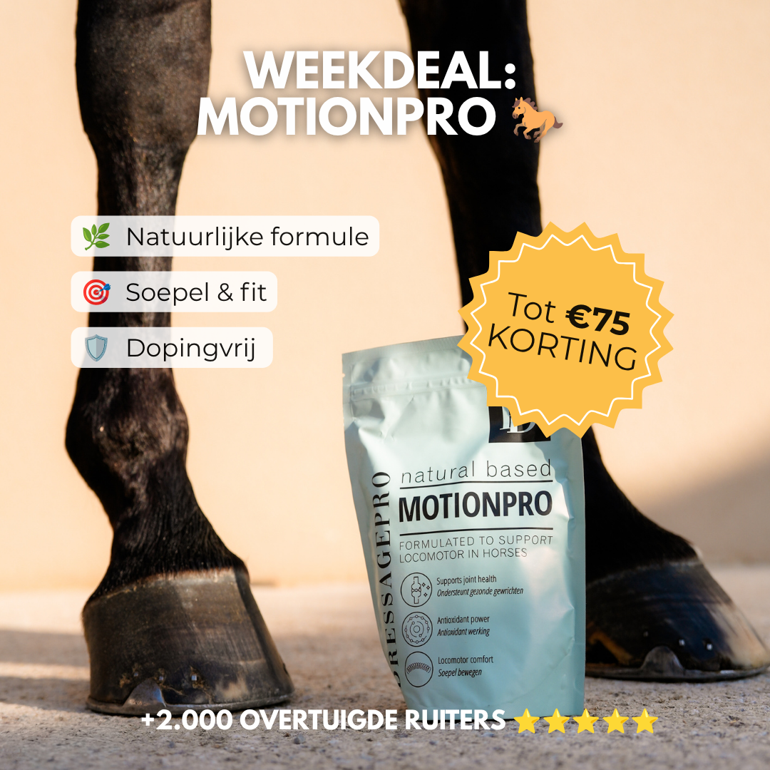 
                  
                    MotionPro
                  
                