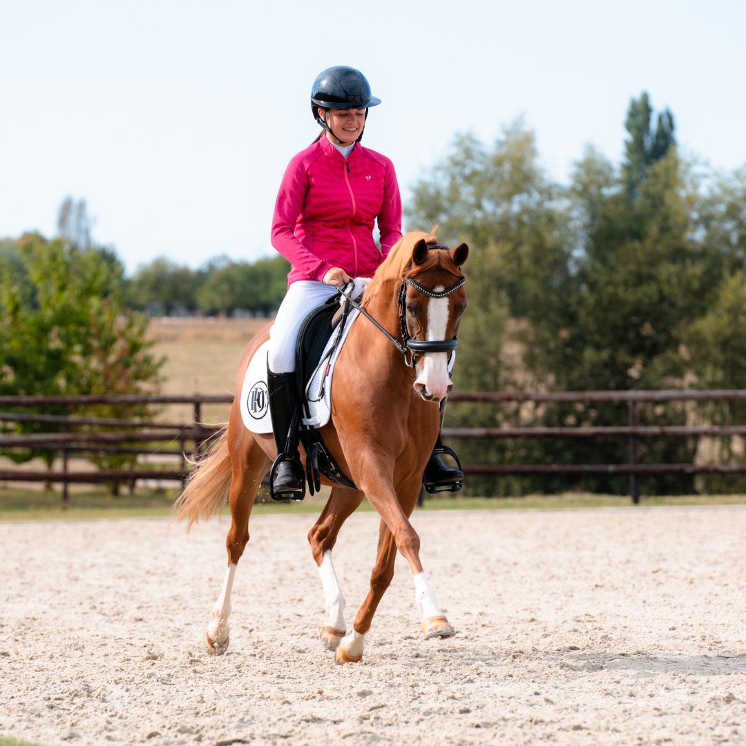 DressagePro Collection