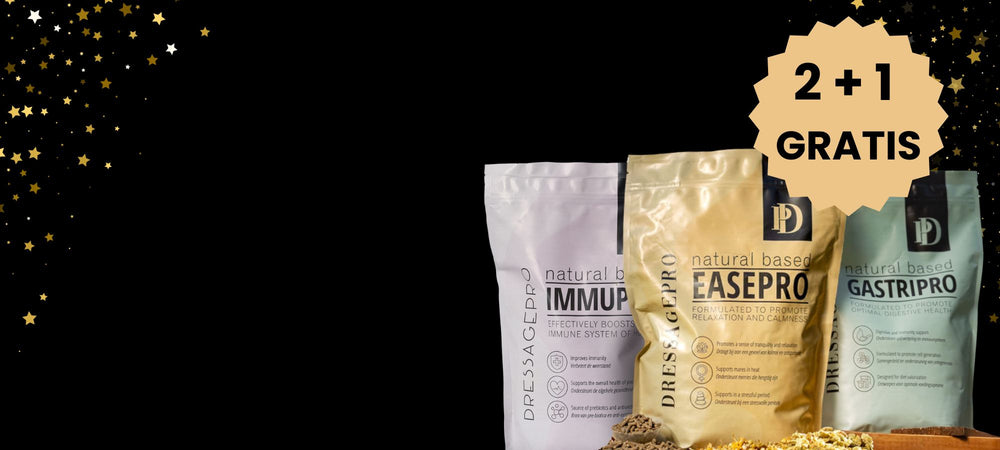 DressagePro Collection