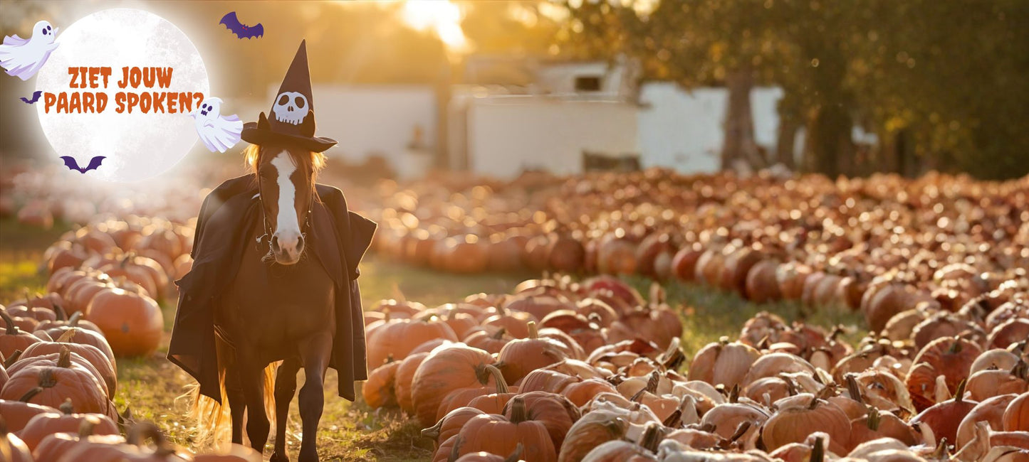 DressagePro Collection