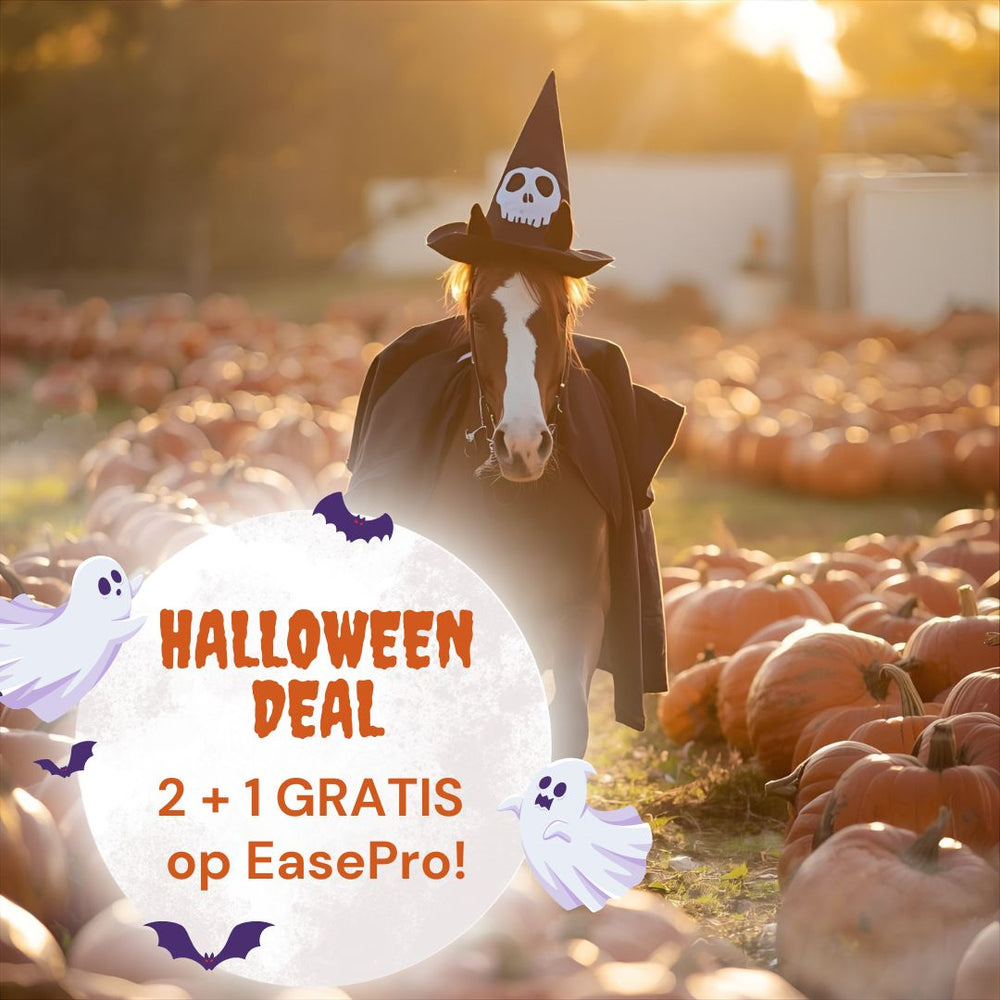 DressagePro Collection