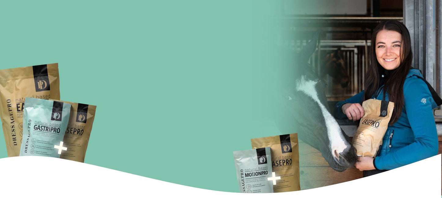 DressagePro Collection
