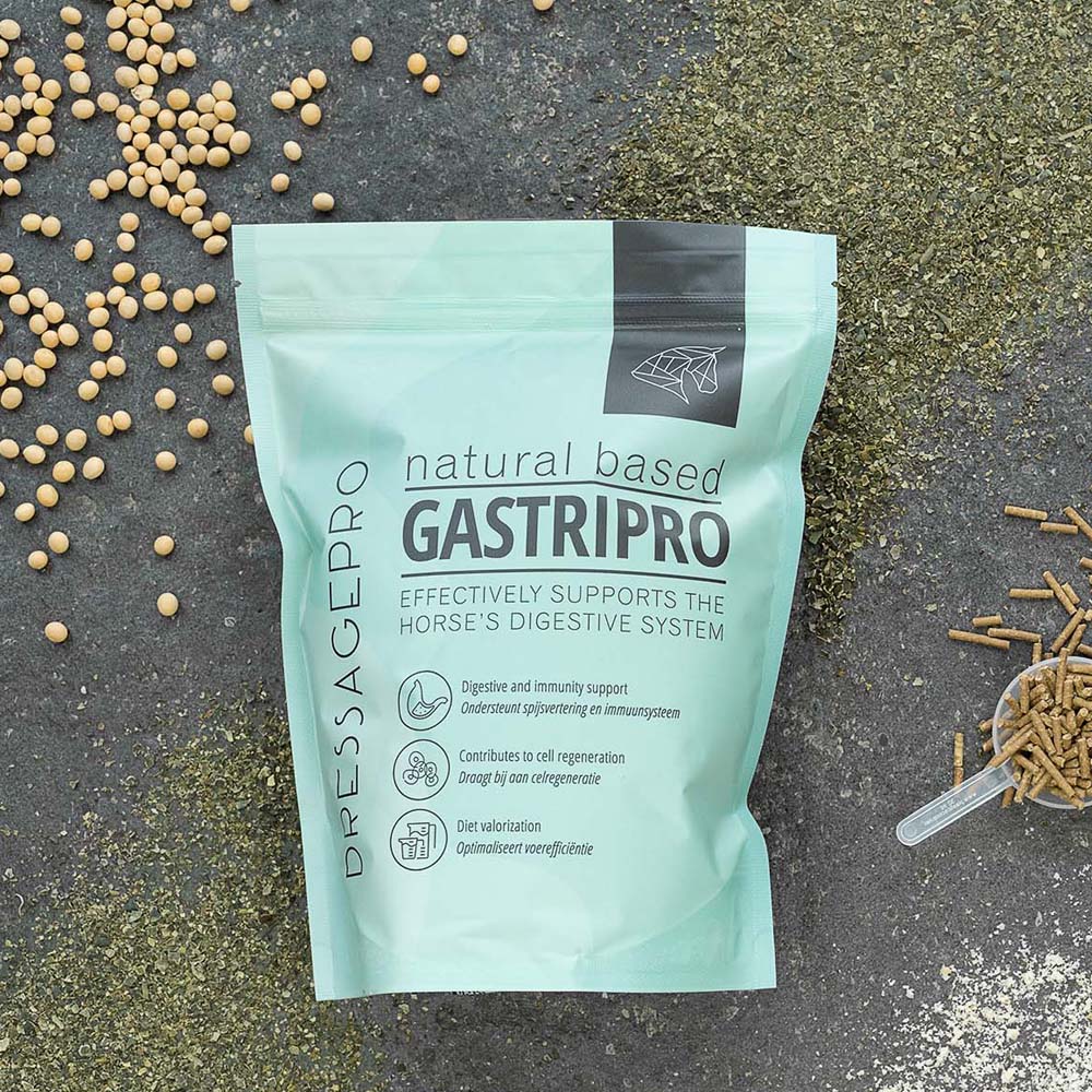 GastriPro
